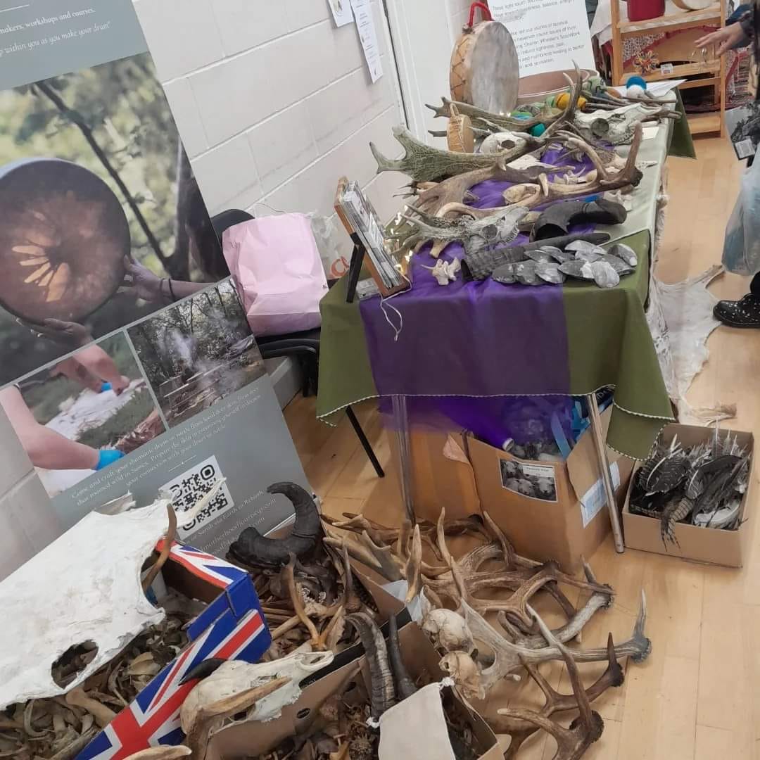 Photograph of various antlers and bones